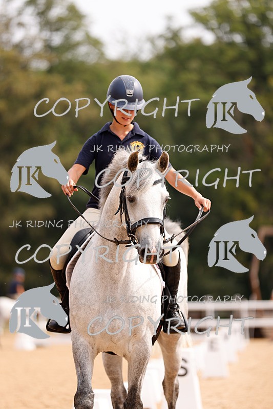 _R6A2745 - Dressage Morning