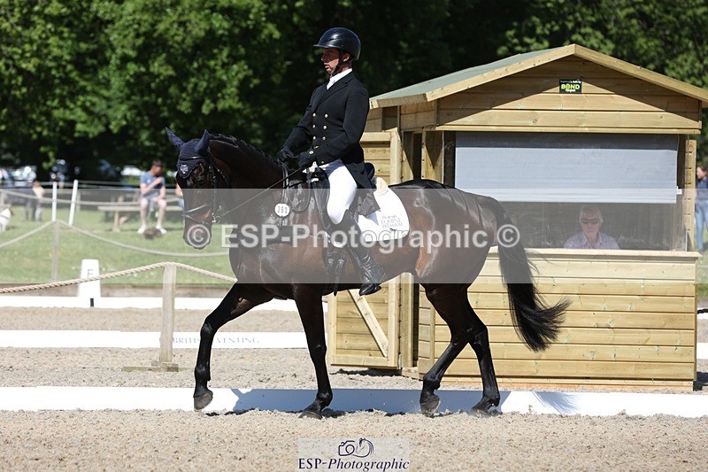 230526-103118-05273 - 362-SPIRIT'S_GEMINI-Harry_Dzenis-WEDTrotUp+DR