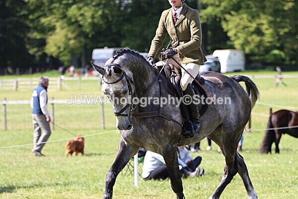 IMG_4839 - Working Hunter