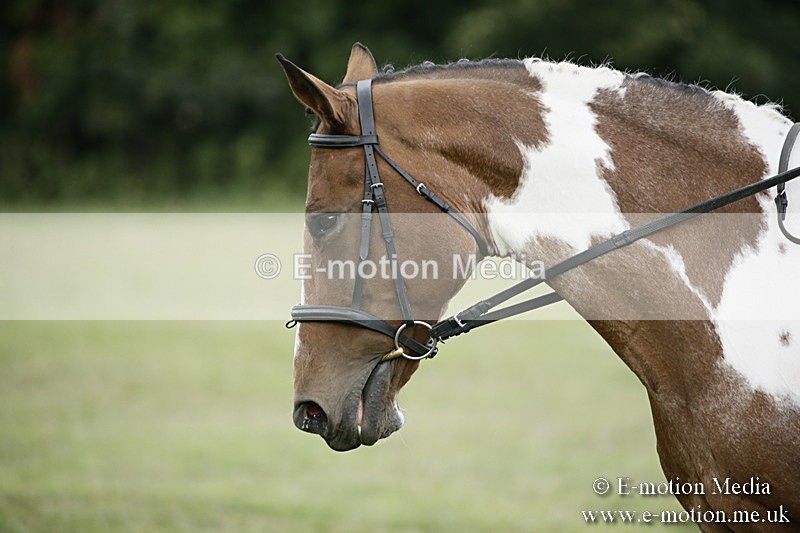 BVR090918 188 - BVRC Dressage and Show Jumping 09/09/18