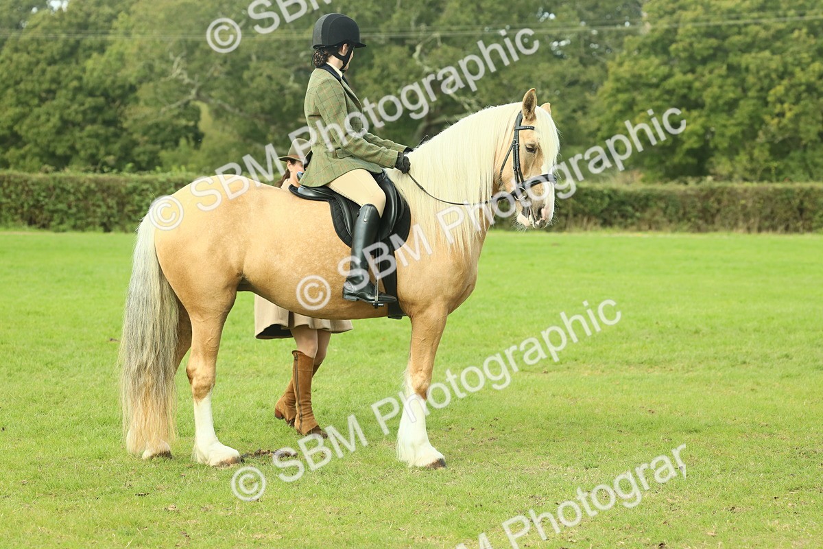 SBM_62636 - S63 - Other Coloured Horse Ridden