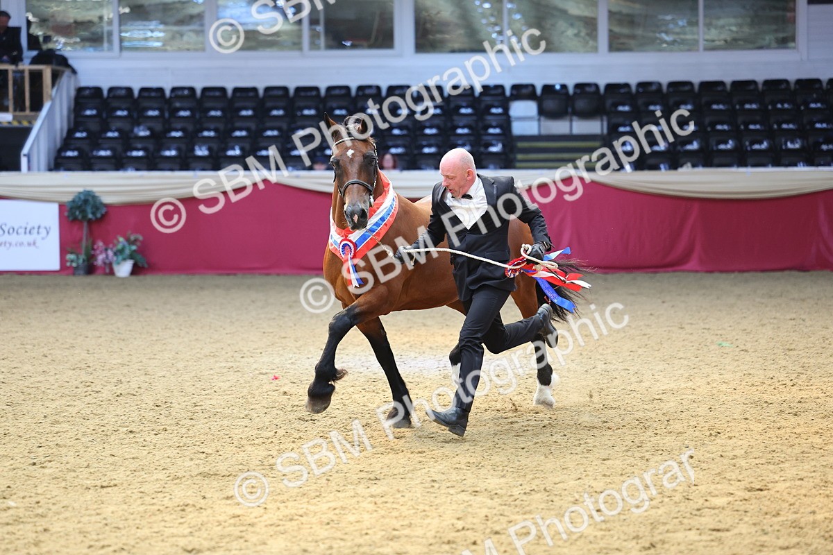 SBM_23270 - Supreme Final - IH Champion