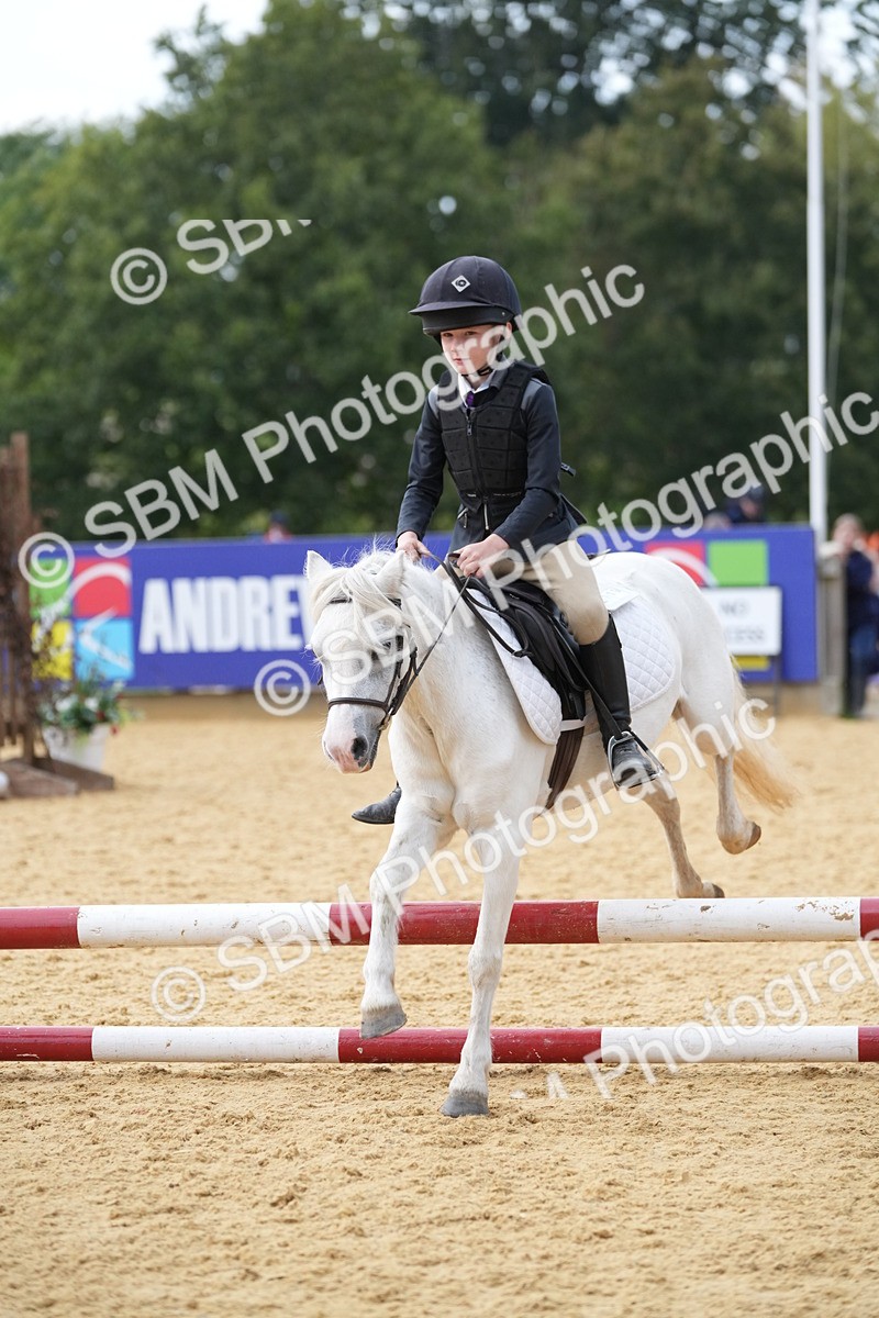 SBM_74694 - J4 - Mini Tour Junior Pony 45cm Championship