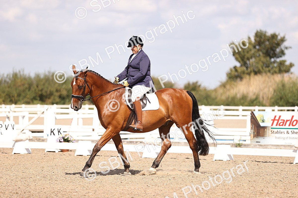 SBM_03643 - CLass 35 Intro 3