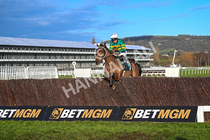 141224-Race 4-In Excelsis Deo-1860 - Race 4