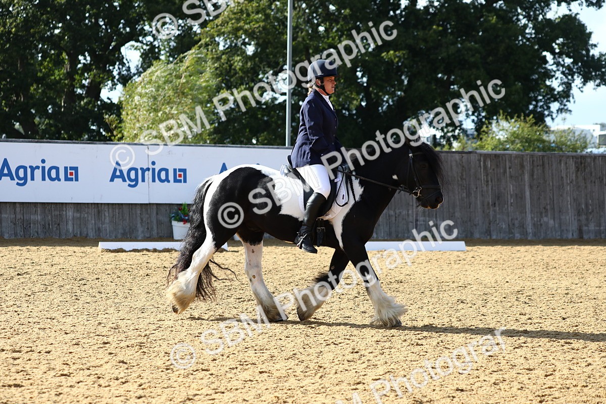 SBM_26785 - D11 - Small Tour Championship Prelim 1