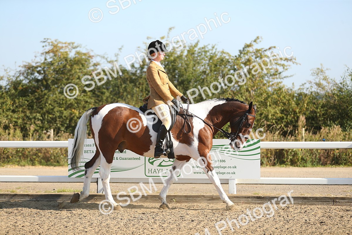 SBM_01108 - Class 42 Ridden Veteran