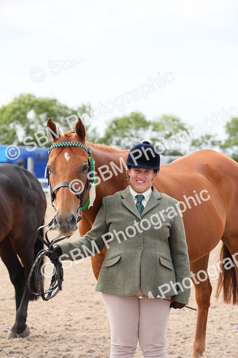 SBM_15979 - Class 313 IH Retired Racehorse