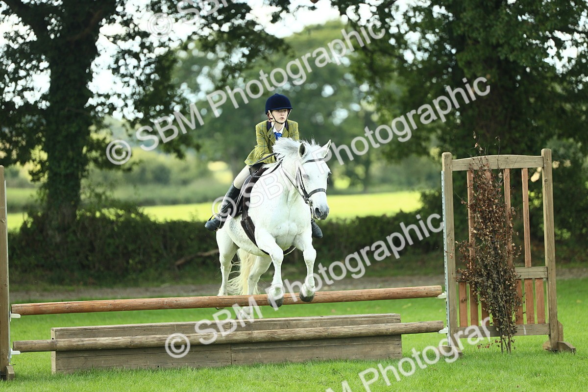 SBM_43032 - S30 - M&M Working hunter Pony