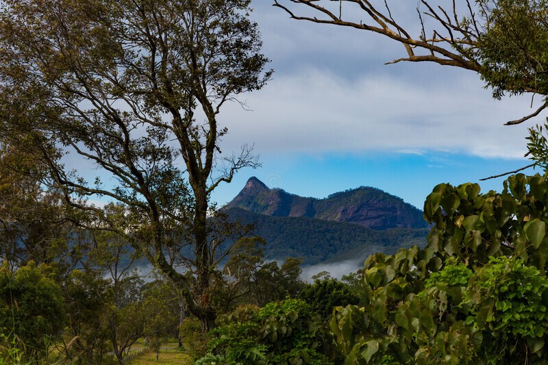 Mt Warning from old Tyalgum tip site park 4 - Mt Warning