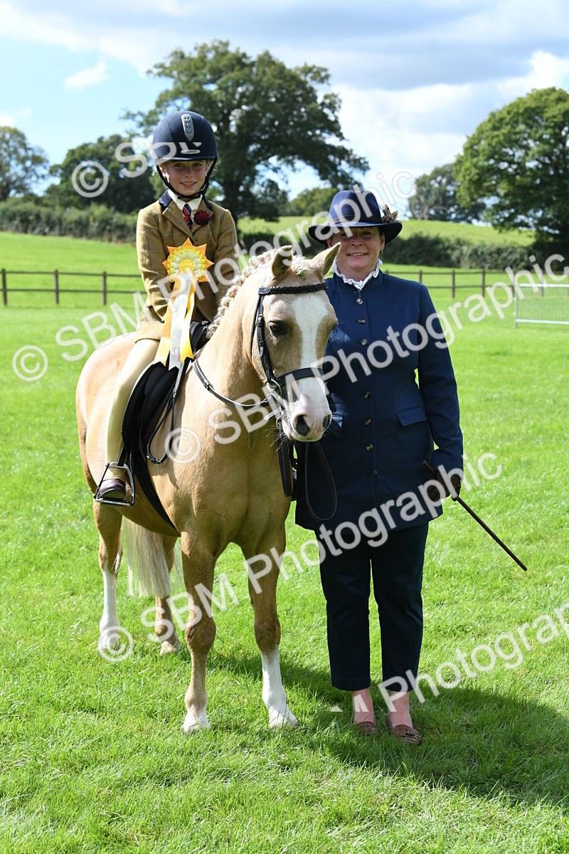 SBM_41272 - S19 - Lead Rein Show & Show Hunter Pony