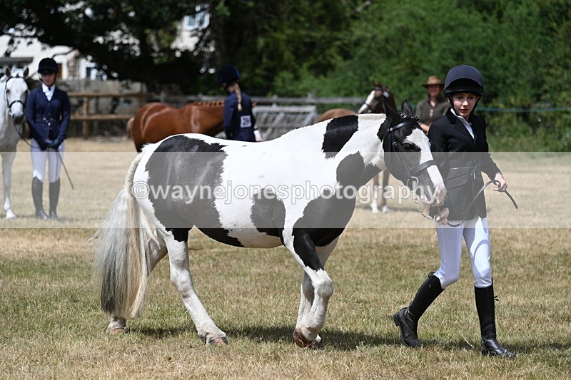 WJ7_1709 - Class 4 Prettiest Mare up to 14.2hh in hand