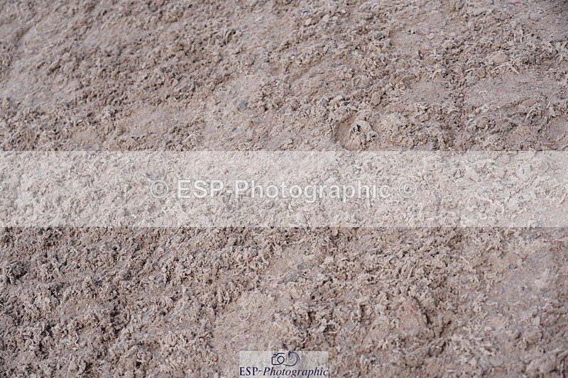 250425-134010-10056 - Cls 34 Young Horse 7yr old