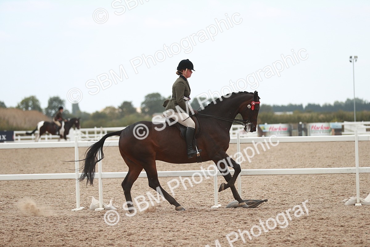 SBM_17657 - Class 215 Ridden Hack/ Riding Horse