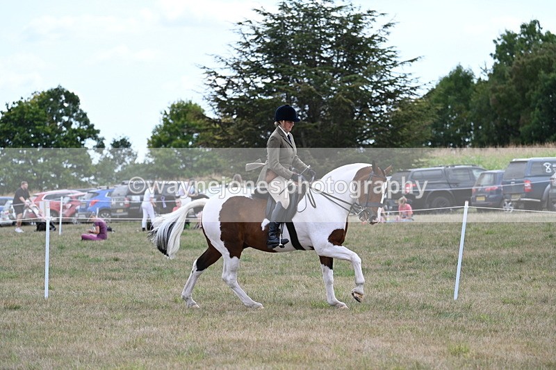 WJ7_5211 - Class 12 Ridden Cob