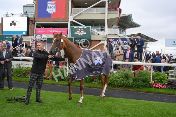 yr18082021r6-51 - Race 6 4.45pm IRE-Incentive It Pays To Buy Irish Stakes