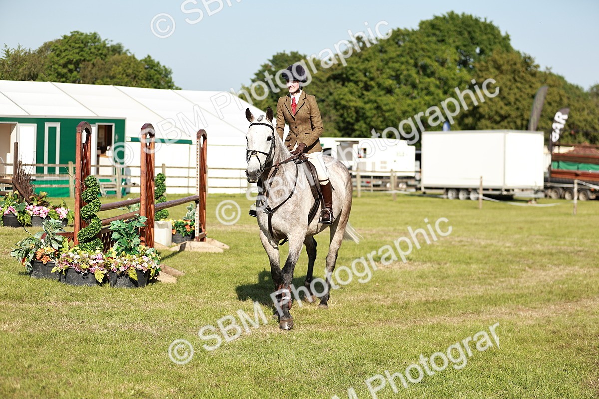 SBM_19943 - Class 115-116 - LIHS BSHA Rising Star Working Hunter & Show Horse