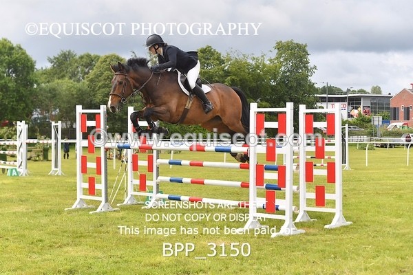 BPP_3150 - CLASS 2 SENIOR FOX/1.20M OPEN