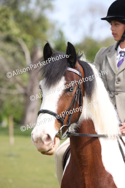 20260426-3018 - Class 33 - Best Pony 14.2hh and Under