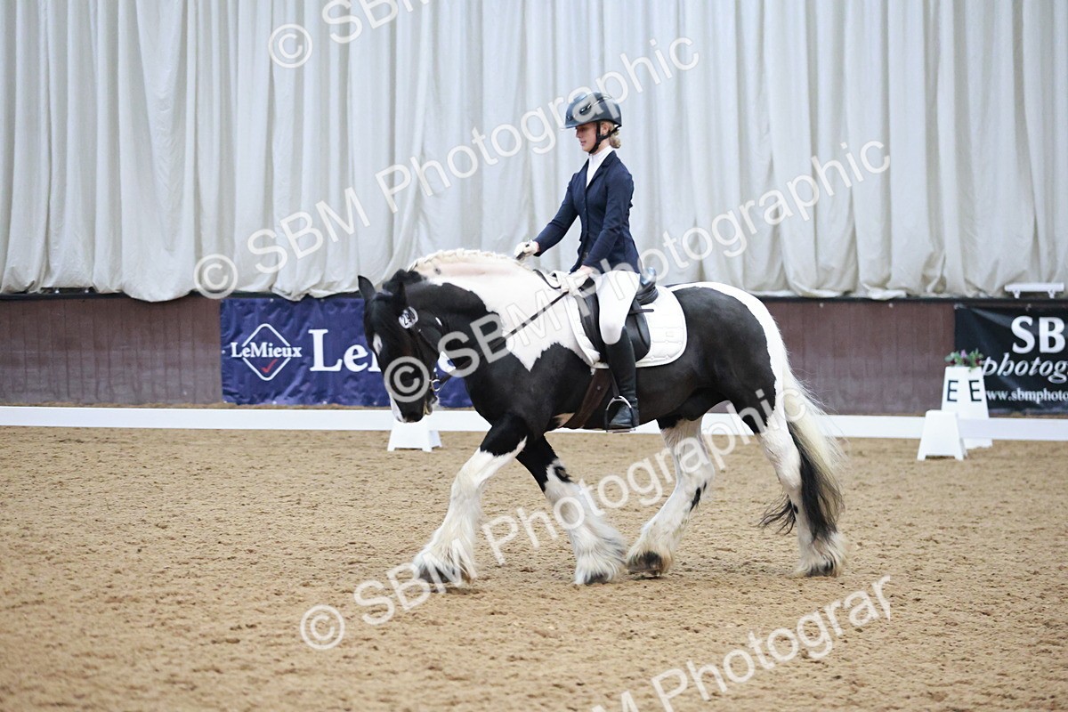 SBM_004571 - Ring 3 - International -  Working Hunter Classes 23-2-25