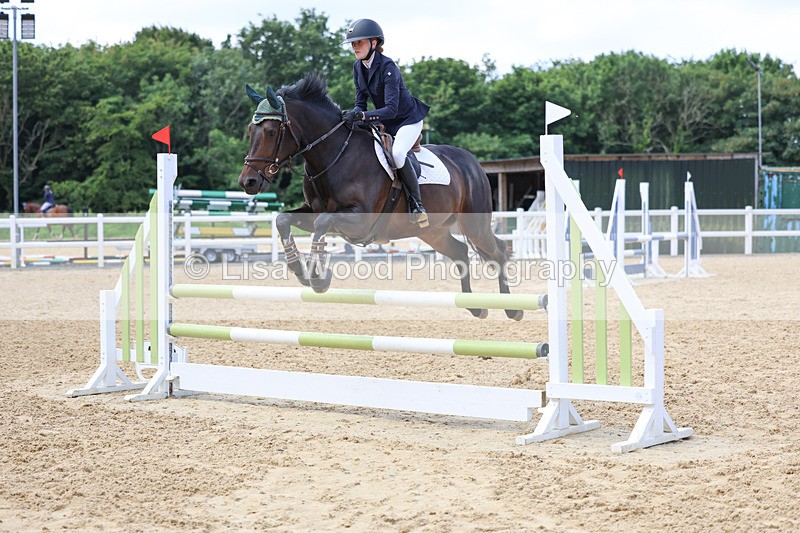 3E7A3102 - Class 4: Senior British Novice/90cm open