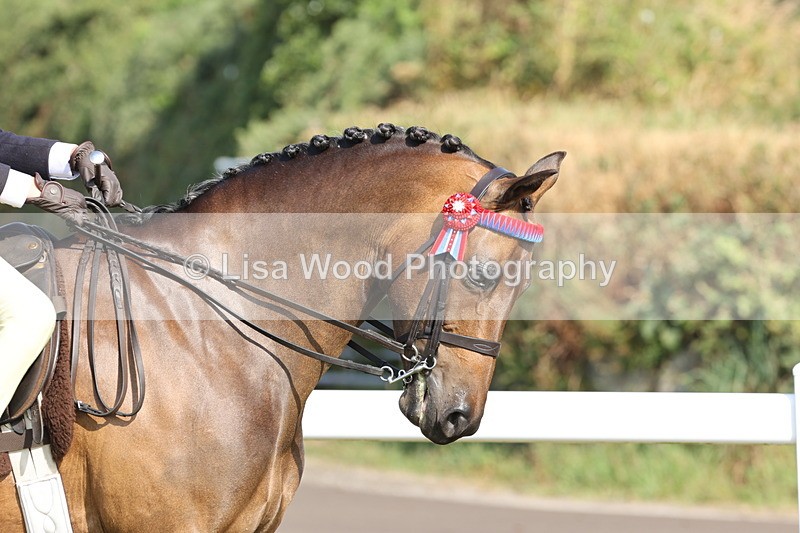 JPP_0615 - Class 16: Cornish Combination Young Rider