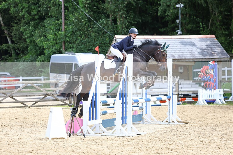 3E7A3096 - Class 4: Senior British Novice/90cm open