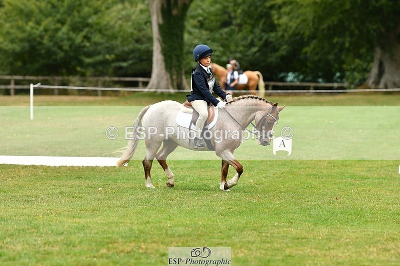 250820A-111750-04990 - 11am to 12