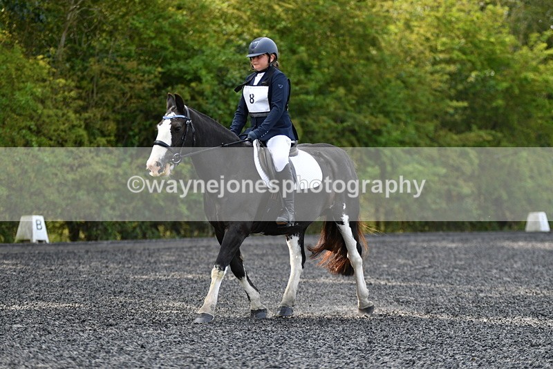 WJ5_9138 - Time 10:10 to 10:47