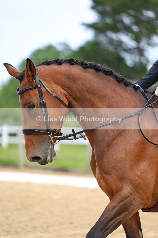 3E7A8783 - Class 1: Intro 1 2024 Section A