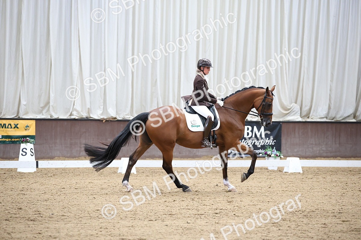 SBM_003425 - Class 5 - Novice 6 Gold - 13.05-14.00