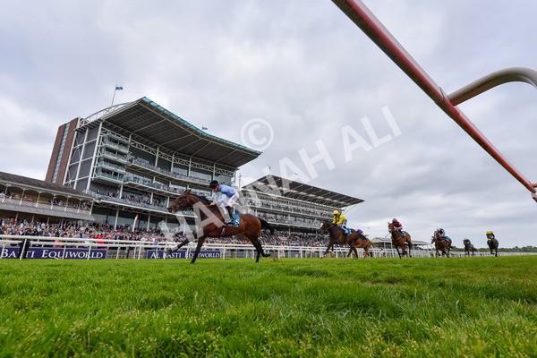 150525-Merchant-2514 - Race 7 5.25pm Haxby Handicap