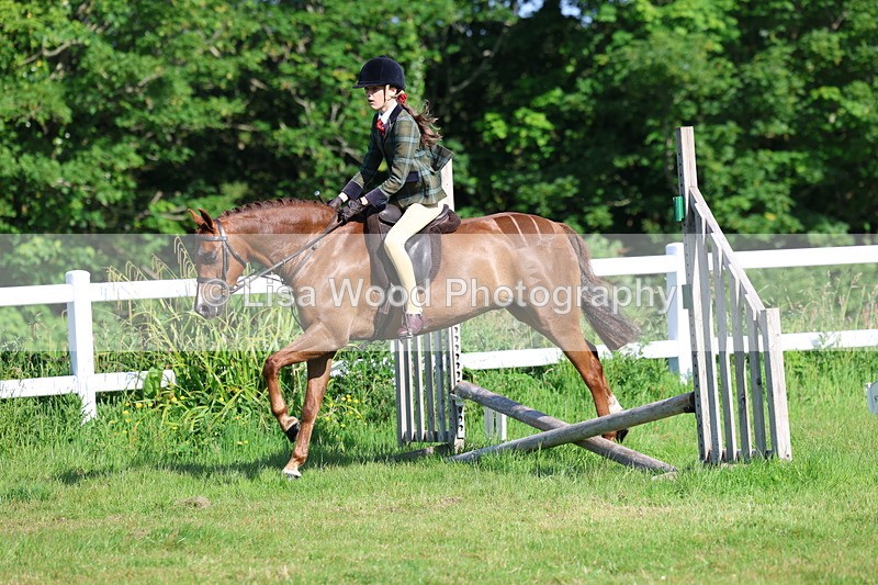 3E7A5902 - Class 27: Novice Working Hunter Pony