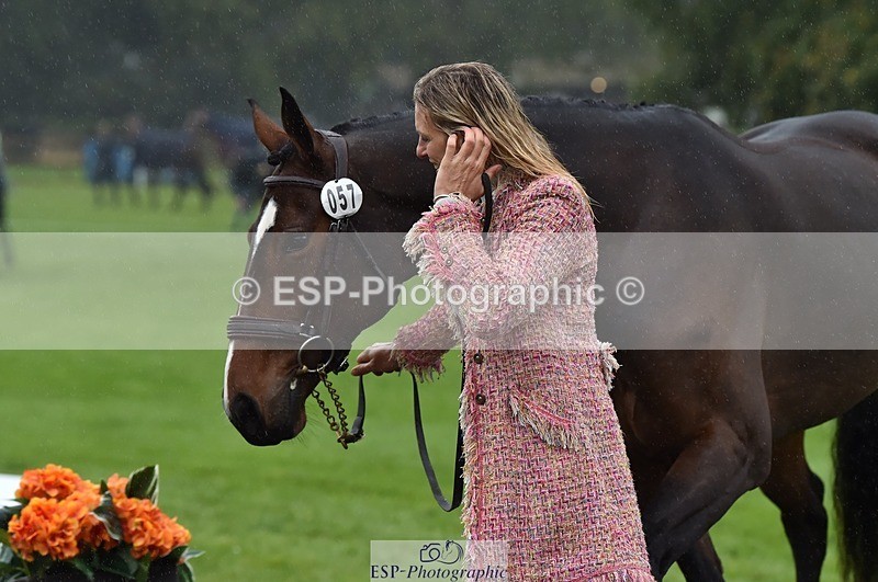 231018-120334-00052 - 057-OVERTON.TILANA'S.GOLD-Claire.Deuten-TrotUp