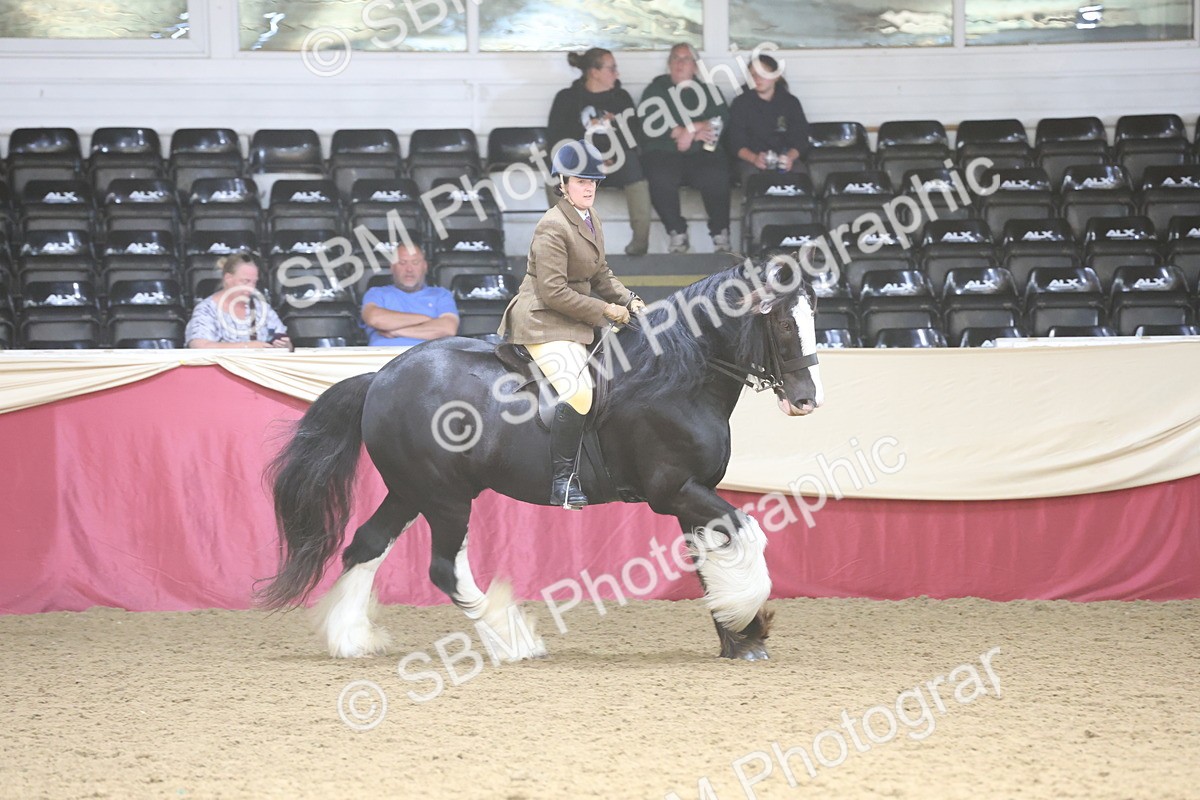 SBM_23804 - class 906 - Supreme Final - Ridden Pre Vet
