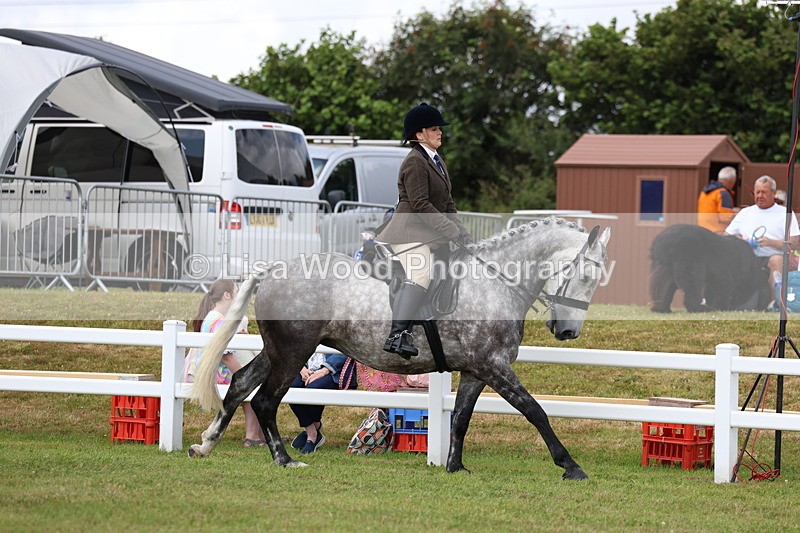 3E7A0535 - Rising Star Ridden Championship