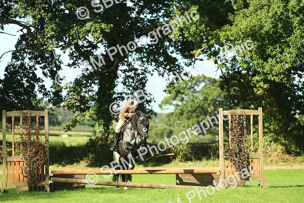 SBM_36462 - S29 - Novice & Newcomers Working Hunter Pony