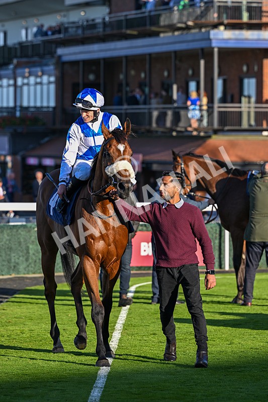 230925-Race 7-Hill O Rue-2494 - Race 7