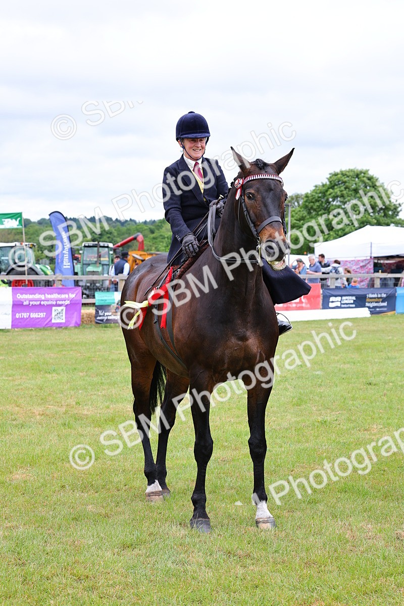 SBM_02838 - Class 9-11 Side Saddle including LIHS Rising Star Ladies Show Horse