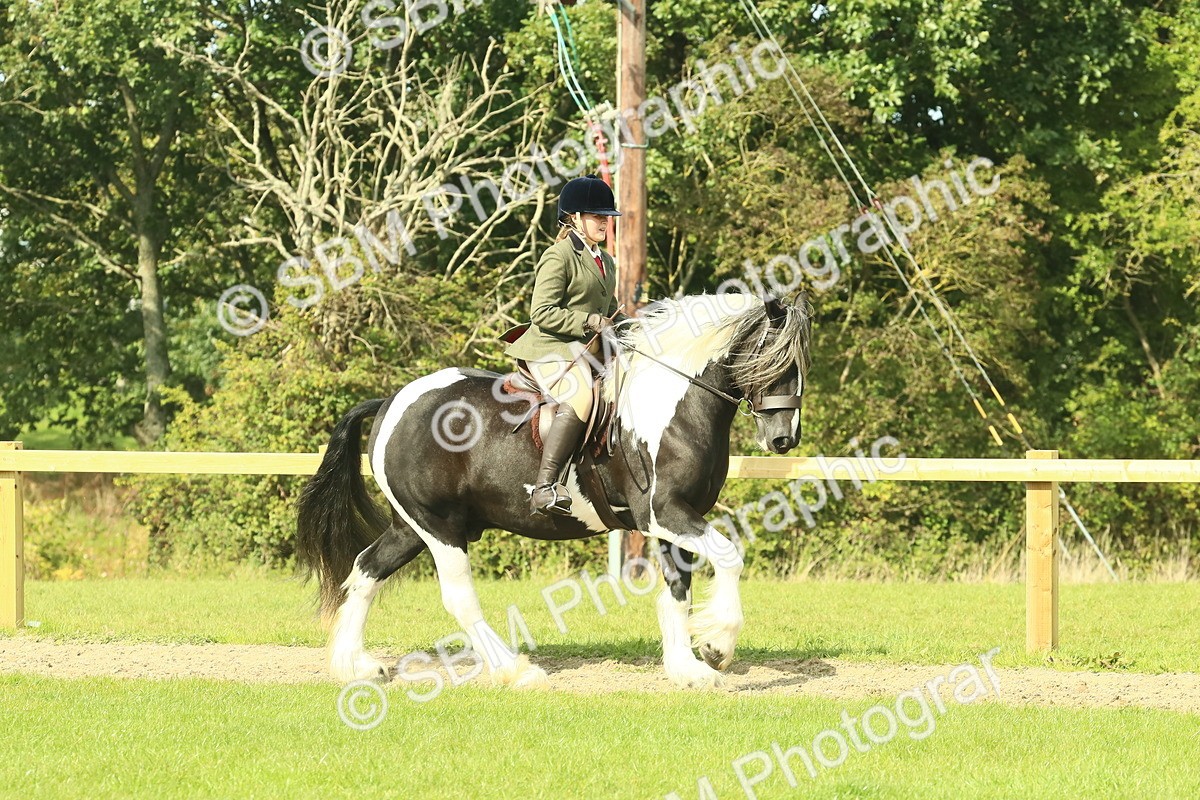 SBM_67443 - S56 - Coloured Pony Ridden