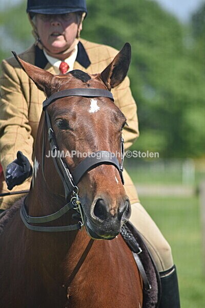 DSC_9280 - Rings 1 & 2