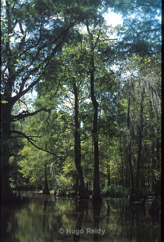  - Landscape & Rivers