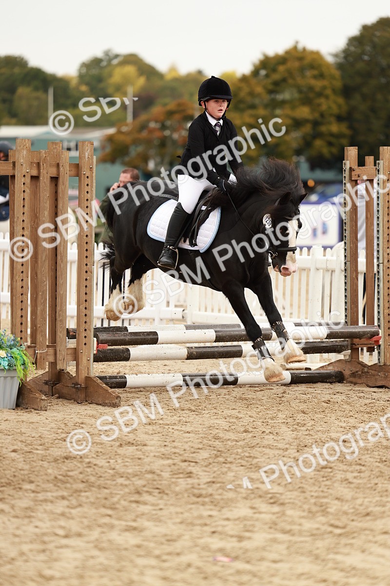 SBM_58027 - J11 - Junior Pony 50cm Championship