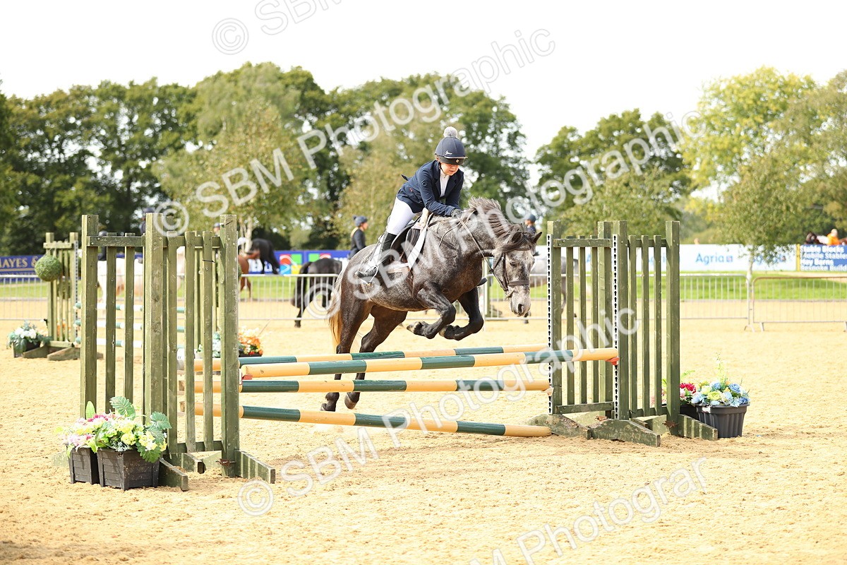 SBM_67179 - J17 - Junior Pony 80cm Championship