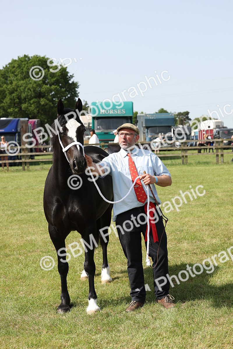 SBM_02263 - Class 6-13 - Mountatin and Moorland In Hand Welsh Breeds