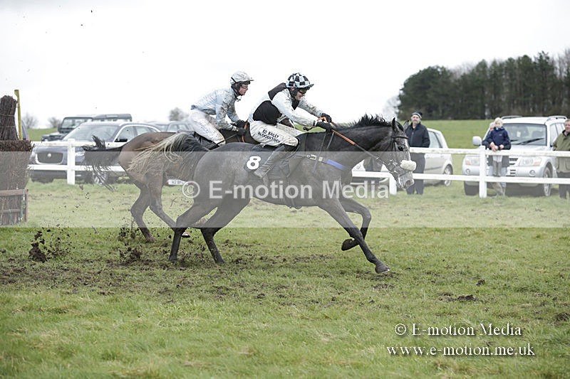 PtP 150320 0509 - New Forest Point-to-Point Larkhill 15/03/20