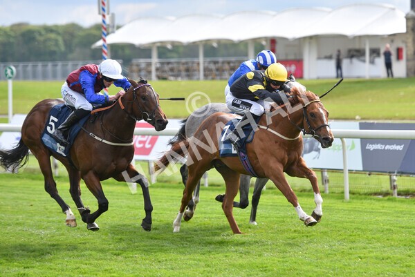 yr12052021r6-19 - Race 6 4.15pm British Stallion Studs EBF Novice Stakes