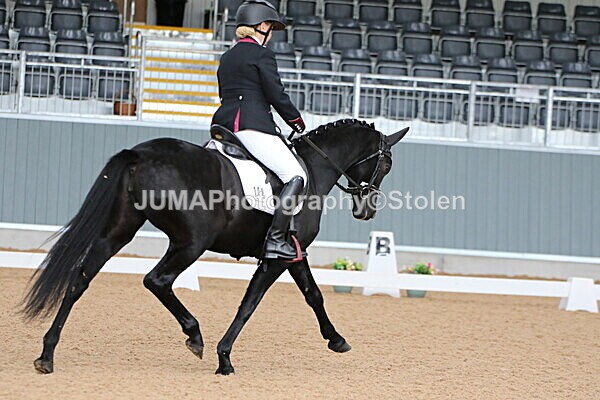 SIAL8589 - GDG Bogenraith Friday 26th Sept 2025