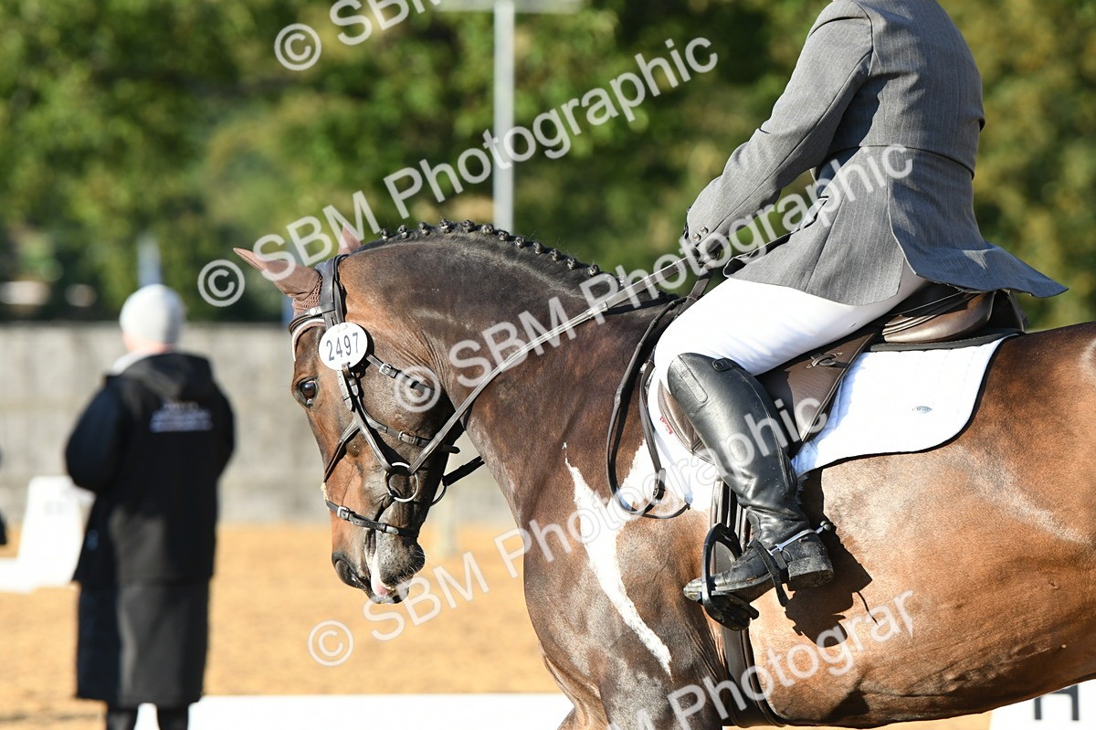 SBM_13426 - D19 Small Tour Championship Elementary 42