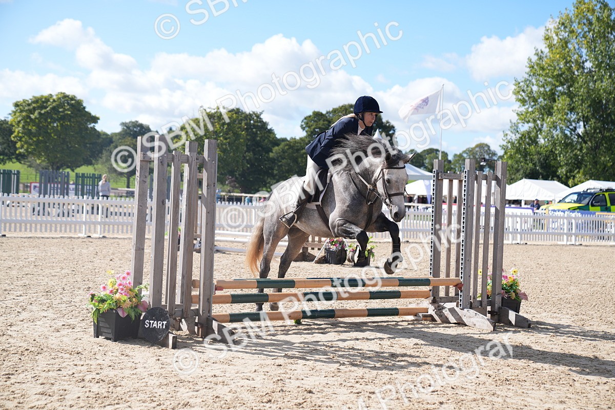 SBM_02508 - J54 Clear Round 45cm